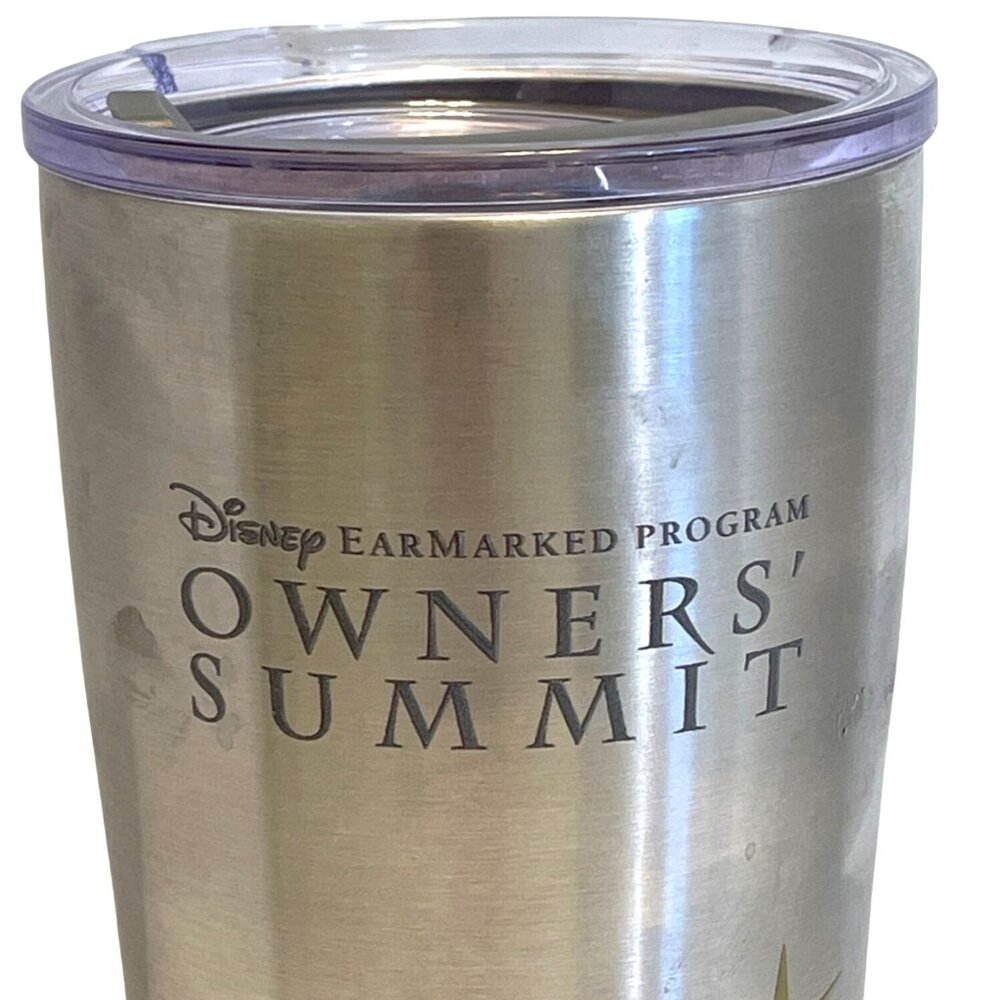 Stainless Steel Tervis Insulated Tumbler Collector Disney Cinderella Castle 20oz - Picture 11 of 13